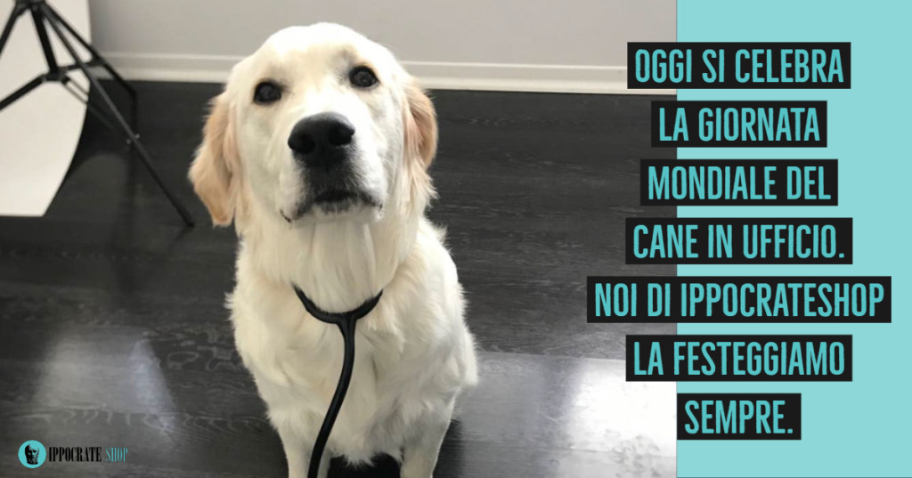 GIORNATA MONDIALE DEL CANE