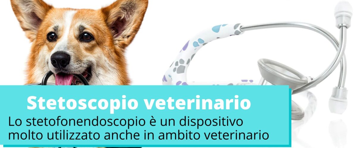 stetoscopio per veterinario