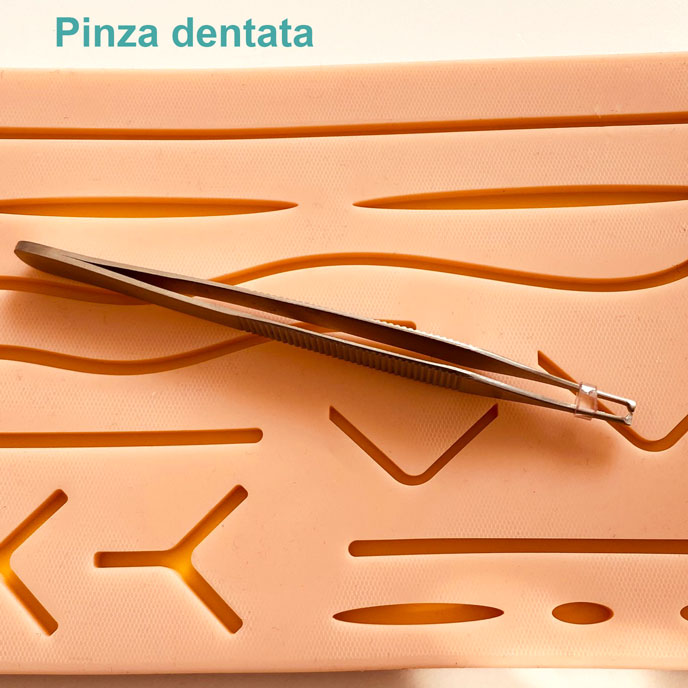 Kit di Pratica per Suture, Kit di sutura chirurgica per Studenti, Kit per  Suture, Strumenti per Allenamento Chirurgico, Kit di sutura all-Inclusive  Regali per Gli Studenti (Solo per Scopo Educativo) : 